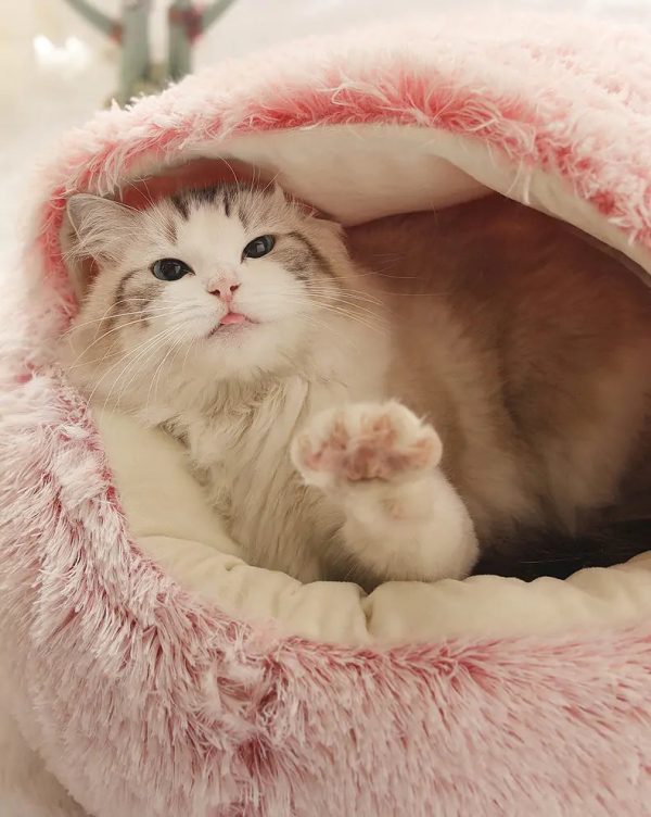 2-In-1 Burrowing Pet Bed 2-In-1 Burrowing Pet Bed