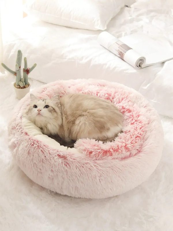 2-In-1 Burrowing Pet Bed 2-In-1 Burrowing Pet Bed