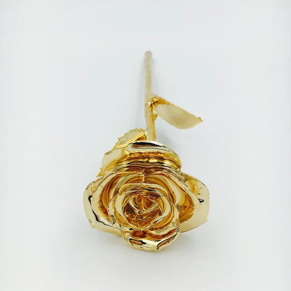 24K Gold Plated Preserved Rose Gift for Wedding & Birthday 24K Gold Plated Preserved Rose Gift for Wedding & Birthday