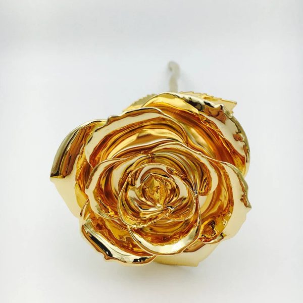 24K Gold Plated Preserved Rose Gift for Wedding & Birthday 24K Gold Plated Preserved Rose Gift for Wedding & Birthday