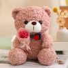 25cm Teddy Bear Plush Toy Cute Hug Bouquet Gift 25cm Teddy Bear Plush Toy Cute Hug Bouquet Gift