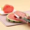 3-in-1 Stainless Steel Watermelon Cutter & Fork