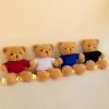 30cm Sweater Teddy Bear Plush 30cm Sweater Teddy Bear Plush