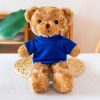 30cm Sweater Teddy Bear Plush 30cm Sweater Teddy Bear Plush