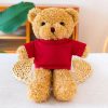 30cm Sweater Teddy Bear Plush 30cm Sweater Teddy Bear Plush
