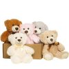 5pcs Plush Bear Toys Soft Stuffed Animals Gift Set 5pcs Plush Bear Toys Soft Stuffed Animals Gift Set