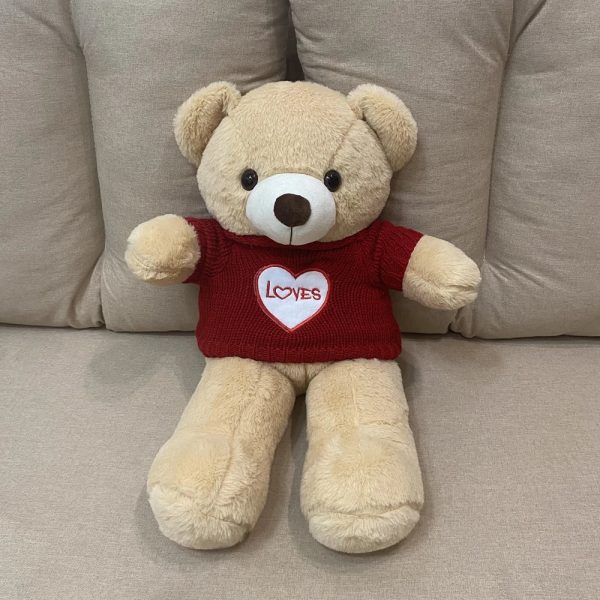 60CM Large Plush Teddy Bear - Soft Sleeping Pillow Doll for Kids' Gifts 60CM Large Plush Teddy Bear - Soft Sleeping Pillow Doll for Kids' Gifts