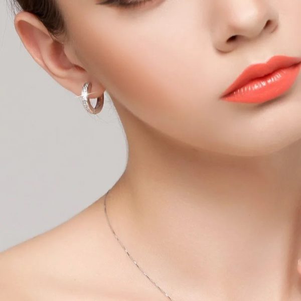 925 Sterling Silver Round Zircon Stud Earrings 925 Sterling Silver Round Zircon Stud Earrings