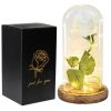 Acrylic Dome Eternal Rose Beauty Gift for Valentine