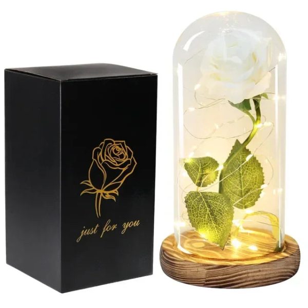 Acrylic Dome Eternal Rose Beauty Gift for Valentine