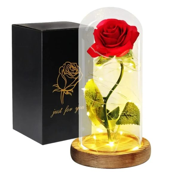 Acrylic Dome Eternal Rose Beauty Gift for Valentine