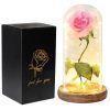 Acrylic Dome Eternal Rose Beauty Gift for Valentine