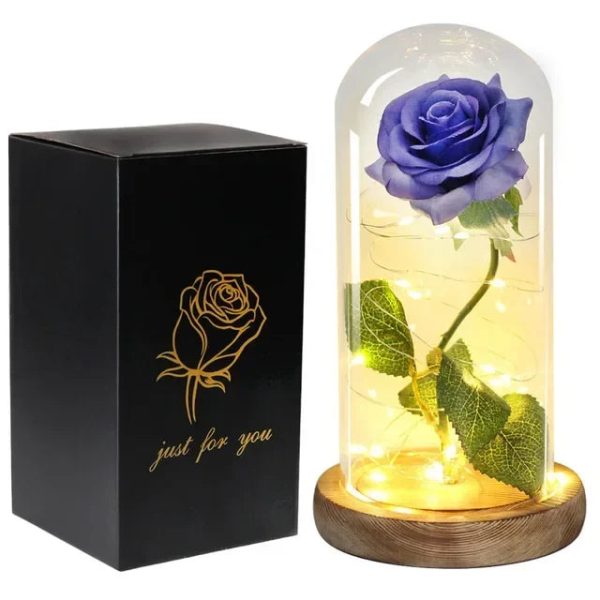 Acrylic Dome Eternal Rose Beauty Gift for Valentine