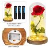 Acrylic Dome Eternal Rose Beauty Gift for Valentine