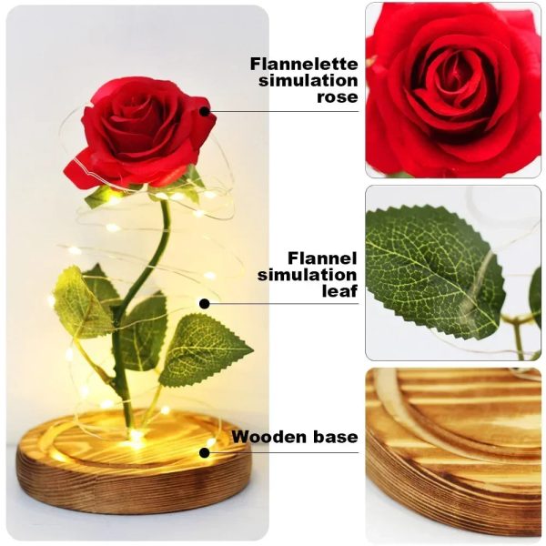 Acrylic Dome Eternal Rose Beauty Gift for Valentine