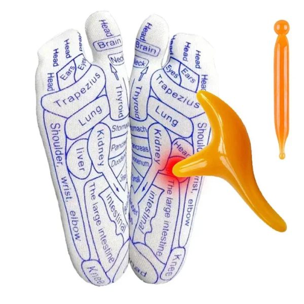 Acupressure Reflexology Socks With Massage Stick Acupressure Reflexology Socks With Massage Stick