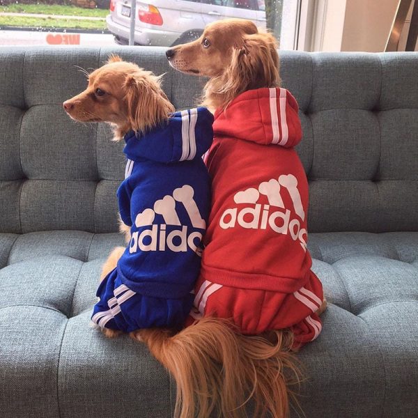 Adidog Hoodie Adidog Hoodie