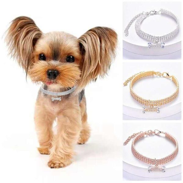 Adjustable Dog Chain Collar with Zircon