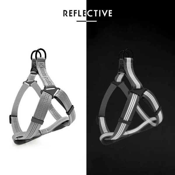 Adjustable Reflective Y-Harness Leash for Dogs Adjustable Reflective Y-Harness Leash for Dogs