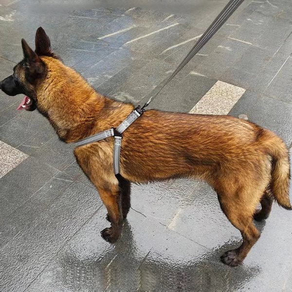 Adjustable Reflective Y-Harness Leash for Dogs Adjustable Reflective Y-Harness Leash for Dogs