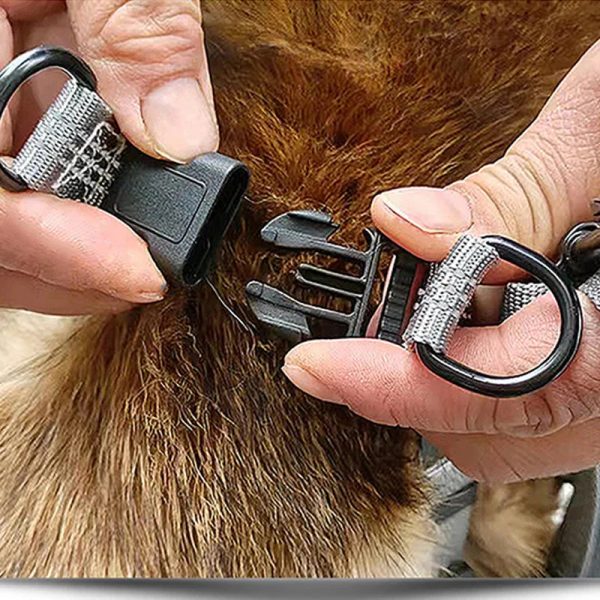 Adjustable Reflective Y-Harness Leash for Dogs Adjustable Reflective Y-Harness Leash for Dogs
