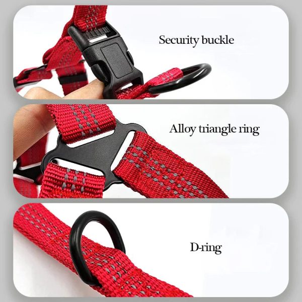 Adjustable Reflective Y-Harness Leash for Dogs Adjustable Reflective Y-Harness Leash for Dogs