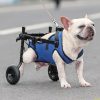 Adjustable Small Dog Wheelchair Adjustable Small Dog Wheelchair