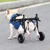Adjustable Small Dog Wheelchair Adjustable Small Dog Wheelchair