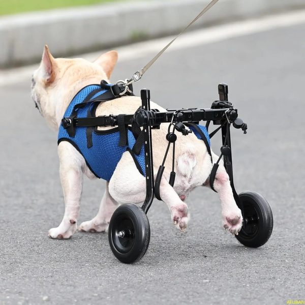Adjustable Small Dog Wheelchair Adjustable Small Dog Wheelchair