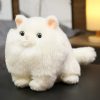 Adorable Totoro Plush Toy - Cute Fat Cat Doll for All Ages!