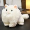 Adorable Totoro Plush Toy - Cute Fat Cat Doll for All Ages!