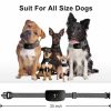 Anti Bark Collars for Small Dogs Anti Bark Collars for Small Dogs