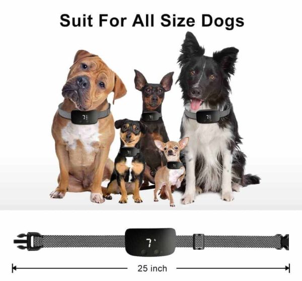 Anti Bark Collars for Small Dogs Anti Bark Collars for Small Dogs