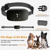 Anti Bark Collars for Small Dogs Anti Bark Collars for Small Dogs