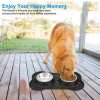 Antislip Double Dog Bowl with Silicone Mat Stainless Steel