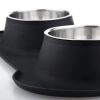 Antislip Double Dog Bowl with Silicone Mat Stainless Steel