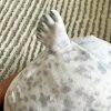 Authentic Kaiyukan Seal Plush Authentic Kaiyukan Seal Plush