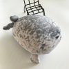Authentic Kaiyukan Seal Plush Authentic Kaiyukan Seal Plush