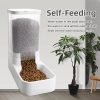 Automatic Pet Feeder & Water Dispenser Automatic Pet Feeder & Water Dispenser