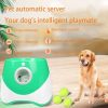 Automatic Tennis Launcher for Dogs Automatic Tennis Launcher for Dogs