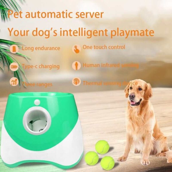 Automatic Tennis Launcher for Dogs Automatic Tennis Launcher for Dogs