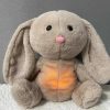 Baby Bear Soothes Otter Plush Toy - Musical Sleep Companion for Kids