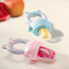 Baby Fruit Pacifier - Perfect for Teething Baby Fruit Pacifier - Perfect for Teething