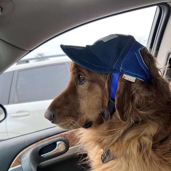 Baseball Cap for Dogs