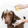 Bathroom Brush for Dog