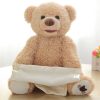 Bear Hide and Seek Toy Bear Hide and Seek Toy