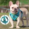 Best Adjustable Dog Harness and Leash Best Adjustable Dog Harness and Leash