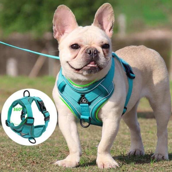 Best Adjustable Dog Harness and Leash Best Adjustable Dog Harness and Leash