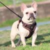 Best Adjustable Dog Harness and Leash Best Adjustable Dog Harness and Leash