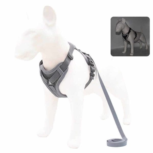 Best Adjustable Dog Harness and Leash Best Adjustable Dog Harness and Leash